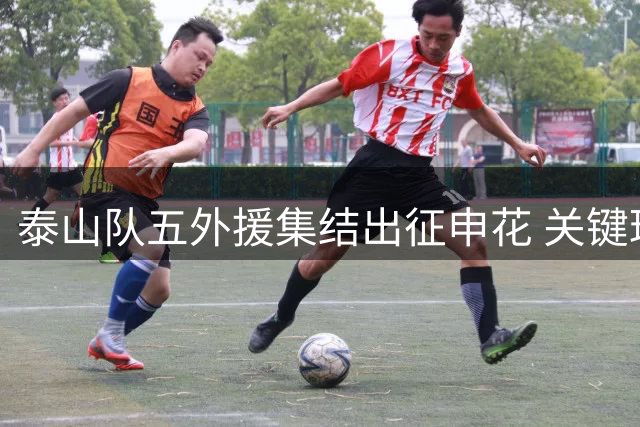 泰山队五外援集结出征申花 关键球员复出欲取不败