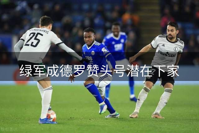 绿军成德罗赞头号潜在下家