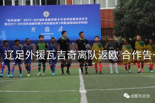 辽足外援瓦吉奇离队返欧 合作告一段落